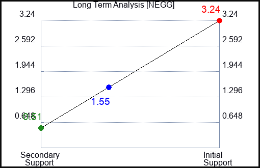 NEGG Long Term Analysis for January 11 2023