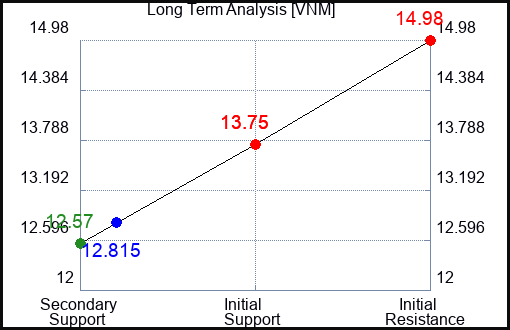 VNM Long Term Analysis for January 24 2024