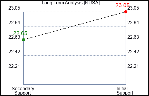 NUSA Long Term Analysis for January 31 2024