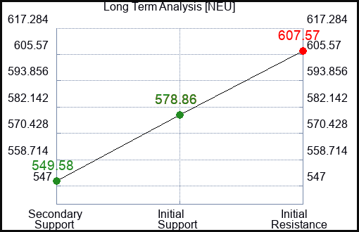 NEU Long Term Analysis for February 22 2024