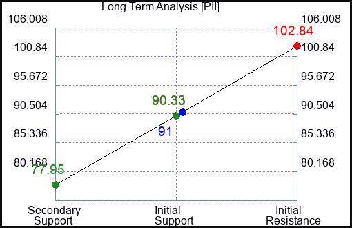 PII Long Term Analysis for February 28 2024