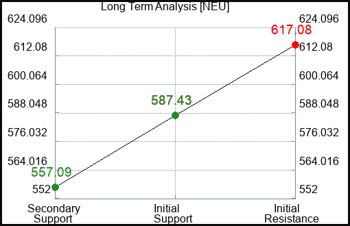 NEU Long Term Analysis for March 3 2024