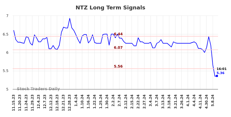 NTZ Long Term Analysis for May 16 2024