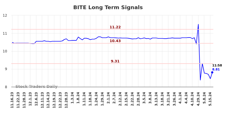 BITE Long Term Analysis for May 16 2024