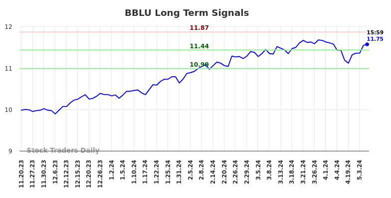 BBLU Long Term Analysis for May 19 2024