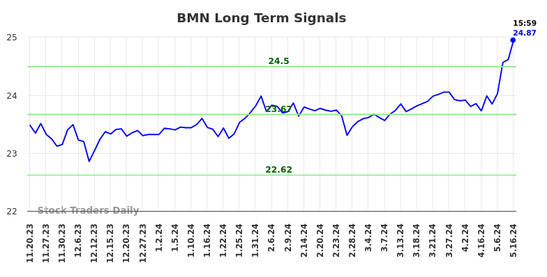 BMN Long Term Analysis for May 19 2024