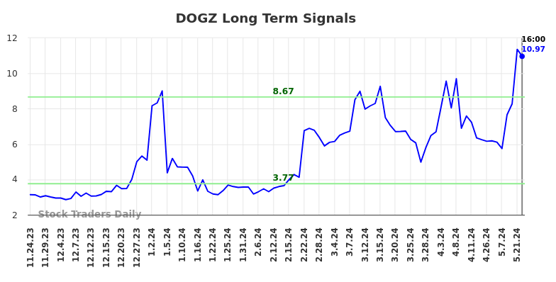 DOGZ Long Term Analysis for May 26 2024