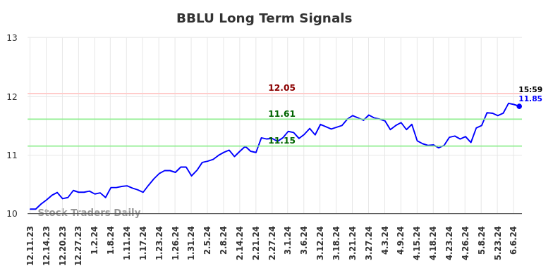 BBLU Long Term Analysis for June 10 2024