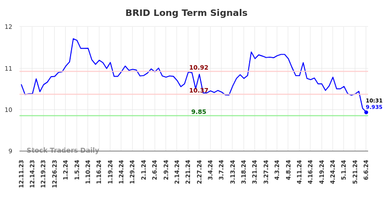 BRID Long Term Analysis for June 10 2024