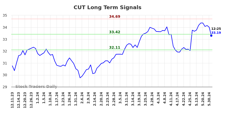 CUT Long Term Analysis for June 10 2024