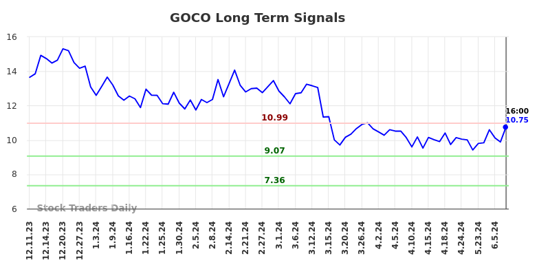 GOCO Long Term Analysis for June 12 2024