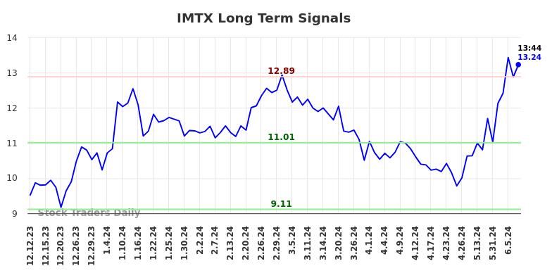 IMTX Long Term Analysis for June 12 2024