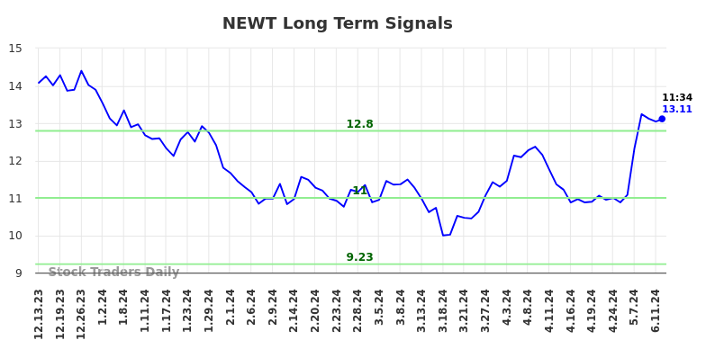 NEWT Long Term Analysis for June 13 2024