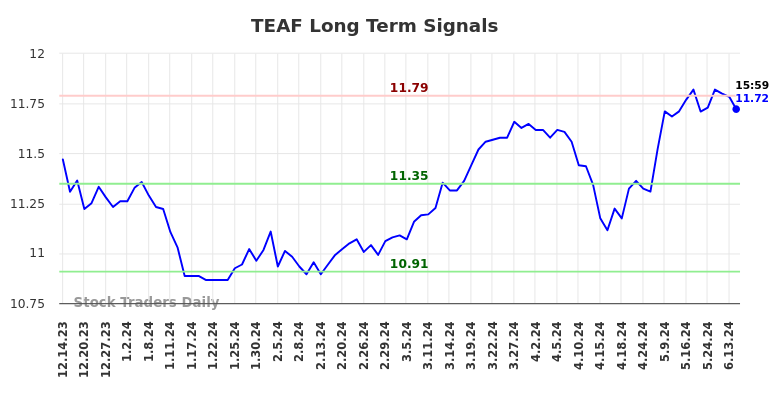 Read more about the article (TEAF) Long-term investment analysis