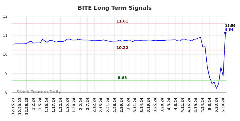 BITE Long Term Analysis for June 16 2024