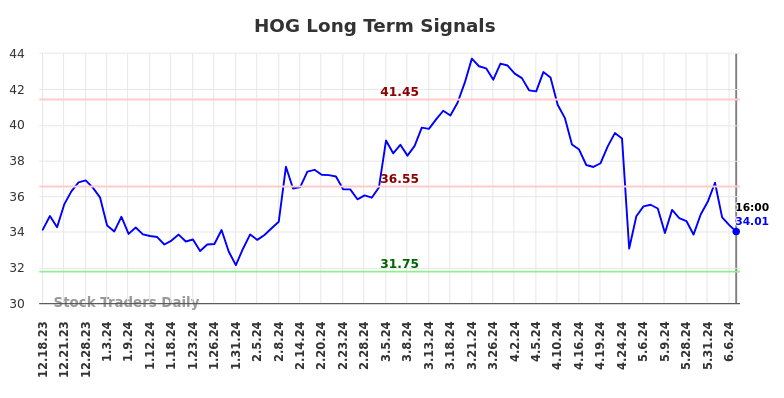 HOG Long Term Analysis for June 18 2024