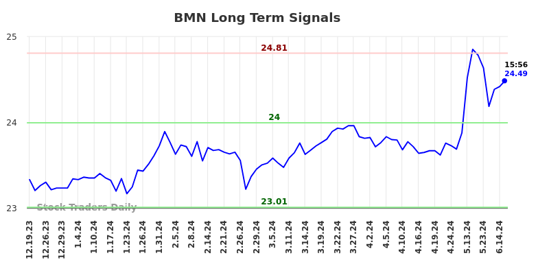 BMN Long Term Analysis for June 20 2024