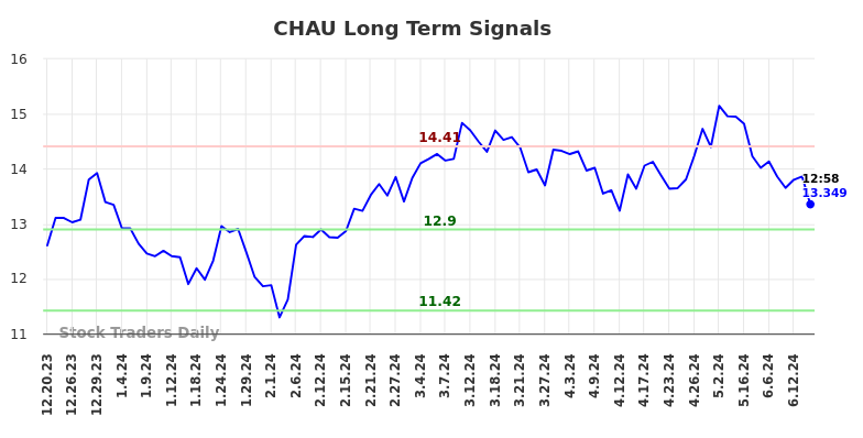 CHAU Long Term Analysis for June 20 2024