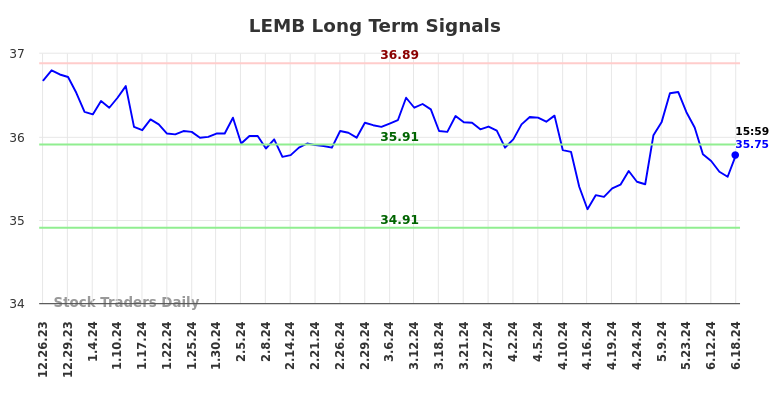 LEMB Long Term Analysis for June 22 2024