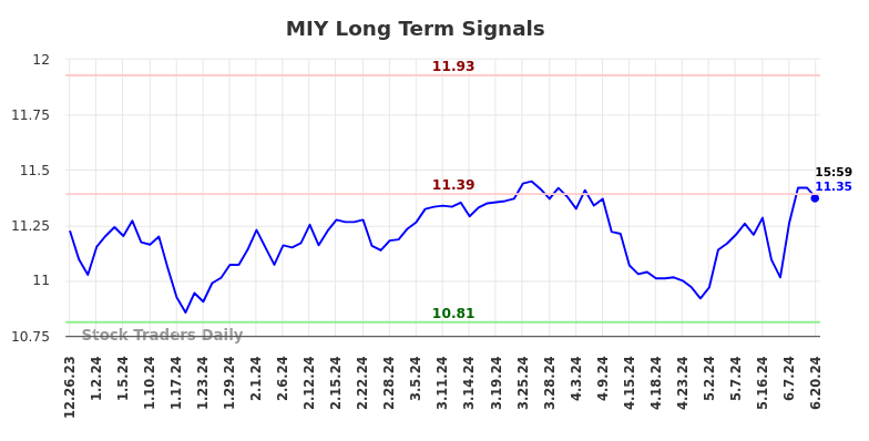 MIY Long Term Analysis for June 23 2024