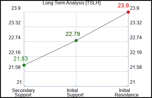 TSLH Long Term Analysis for June 28 2024