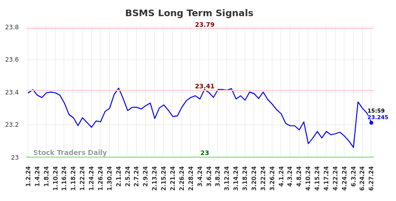 BSMS Long Term Analysis for June 30 2024