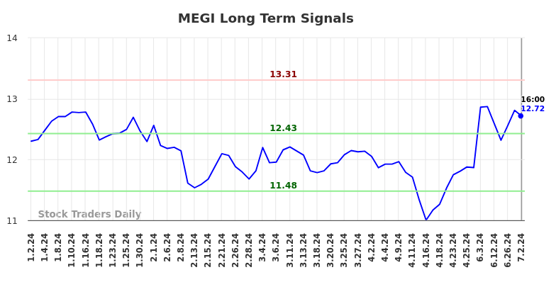 MEGI Long Term Analysis for July 3 2024