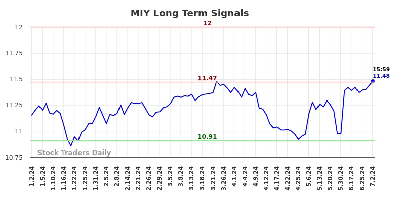 MIY Long Term Analysis for July 3 2024