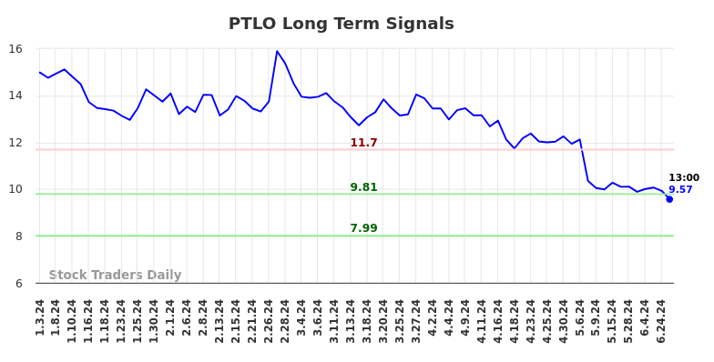 PTLO Long Term Analysis for July 4 2024