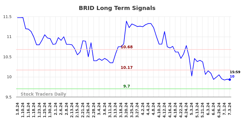 BRID Long Term Analysis for July 7 2024