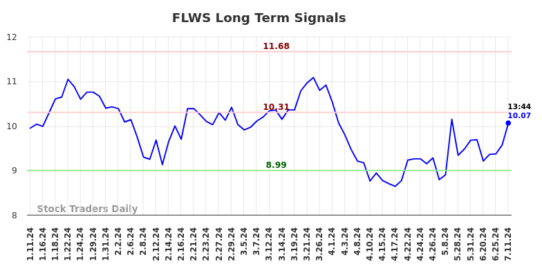 FLWS Long Term Analysis for July 11 2024