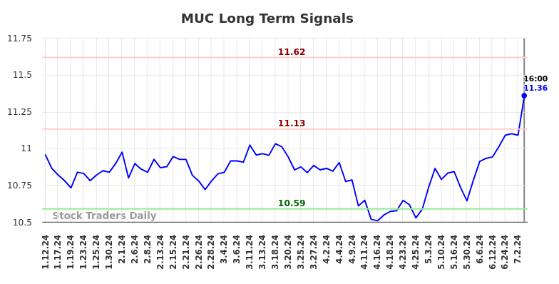 MUC Long Term Analysis for July 13 2024