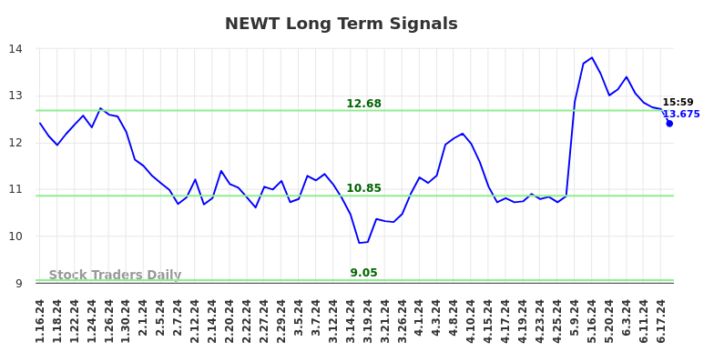 NEWT Long Term Analysis for July 13 2024