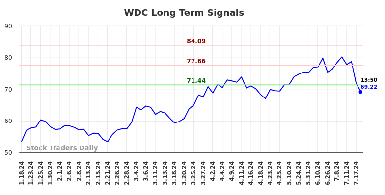 WDC Long Term Analysis for July 18 2024