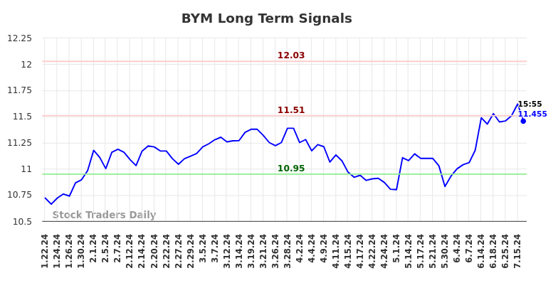 BYM Long Term Analysis for July 20 2024