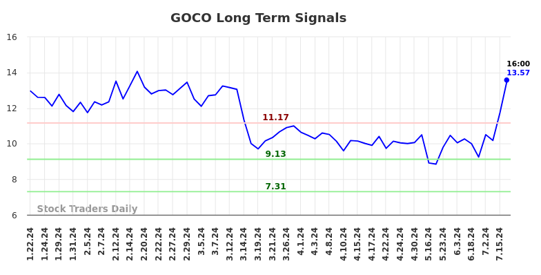 GOCO Long Term Analysis for July 22 2024