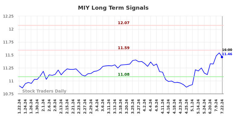 MIY Long Term Analysis for July 23 2024