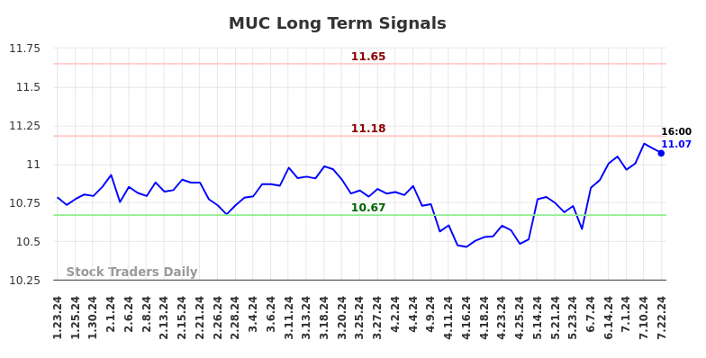 MUC Long Term Analysis for July 23 2024