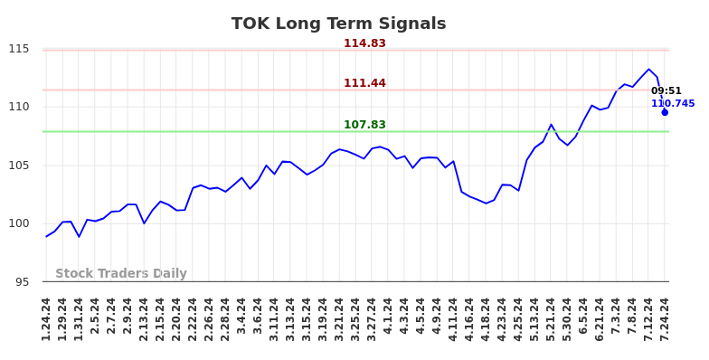 TOK Long Term Analysis for July 25 2024