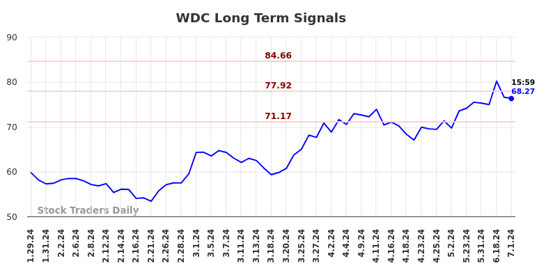 WDC Long Term Analysis for July 28 2024