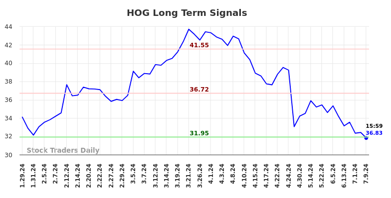 HOG Long Term Analysis for July 29 2024