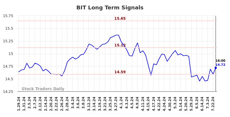 BIT Long Term Analysis for July 30 2024