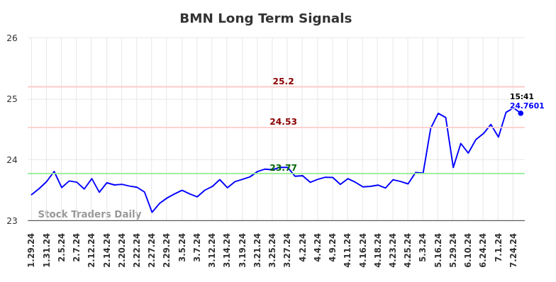 BMN Long Term Analysis for July 30 2024