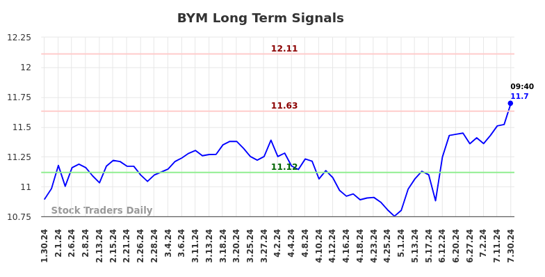 BYM Long Term Analysis for July 30 2024