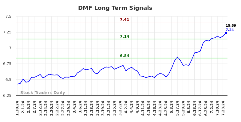 DMF Long Term Analysis for July 31 2024