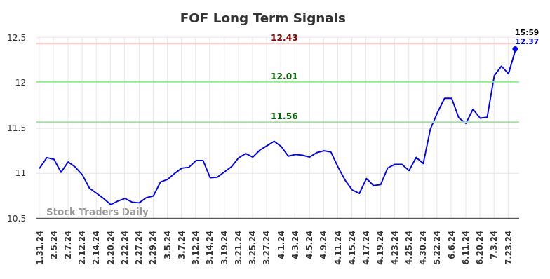 FOF Long Term Analysis for July 31 2024