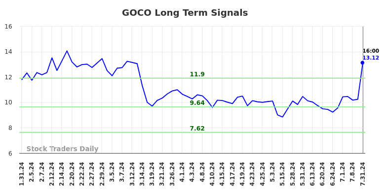 GOCO Long Term Analysis for August 1 2024