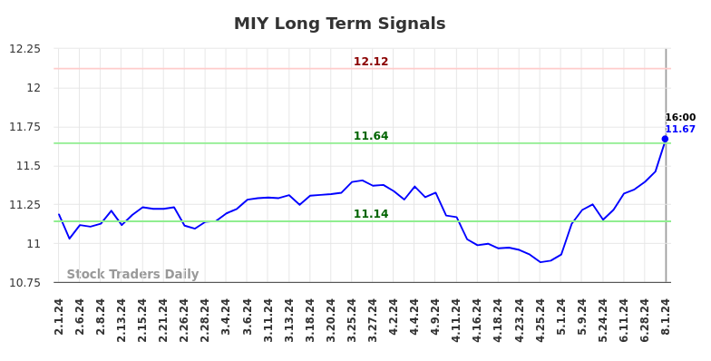 MIY Long Term Analysis for August 2 2024