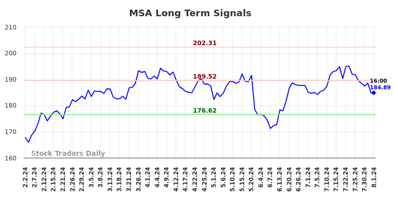 MSA Long Term Analysis for August 2 2024
