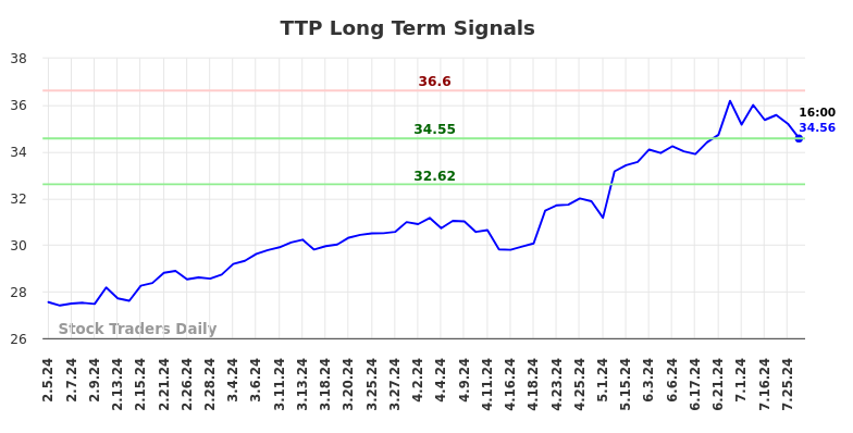 TTP Long Term Analysis for August 4 2024